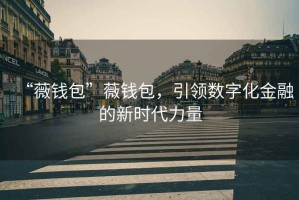 “薇錢包”薇錢包，引領(lǐng)數(shù)字化金融的新時代力量
