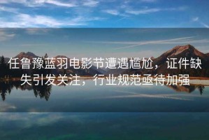 任魯豫藍羽電影節(jié)遭遇尷尬，證件缺失引發(fā)關(guān)注，行業(yè)規(guī)范亟待加強