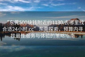 “東莞500塊錢附近約1130.去哪里找合適24小時.cc”東莞探索，預(yù)算內(nèi)尋找最佳服務(wù)與體驗的策略指南
