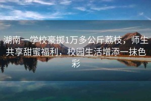 湖南一學(xué)校豪擲1萬多公斤荔枝，師生共享甜蜜福利，校園生活增添一抹色彩