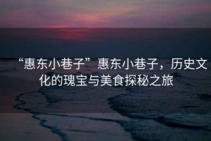 “惠東小巷子”惠東小巷子，歷史文化的瑰寶與美食探秘之旅