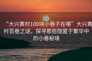 “大興黃村100塊小巷子在哪”大興黃村百巷之謎，探尋那些隱匿于繁華中的小巷秘境