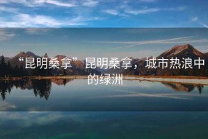 “昆明桑拿”昆明桑拿，城市熱浪中的綠洲