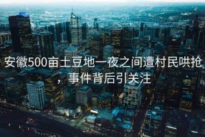 安徽500畝土豆地一夜之間遭村民哄搶，事件背后引關(guān)注