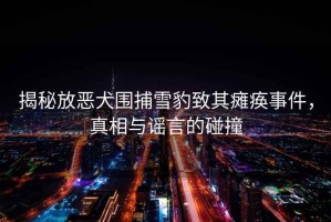 揭秘放惡犬圍捕雪豹致其癱瘓事件，真相與謠言的碰撞