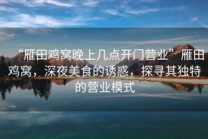 “雁田雞窩晚上幾點(diǎn)開門營(yíng)業(yè)”雁田雞窩，深夜美食的誘惑，探尋其獨(dú)特的營(yíng)業(yè)模式