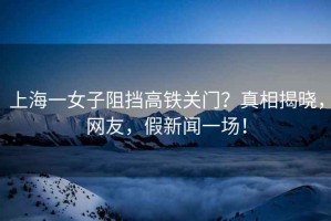 上海一女子阻擋高鐵關門？真相揭曉，網(wǎng)友，假新聞一場！