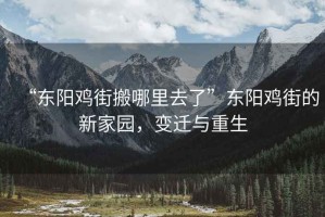 “東陽雞街搬哪里去了”東陽雞街的新家園，變遷與重生