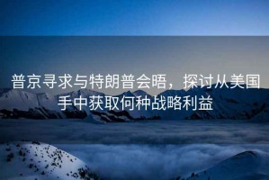 普京尋求與特朗普會晤，探討從美國手中獲取何種戰(zhàn)略利益