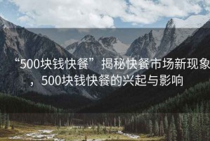 “500塊錢快餐”揭秘快餐市場新現(xiàn)象，500塊錢快餐的興起與影響