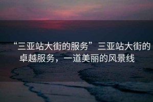 “三亞站大街的服務(wù)”三亞站大街的卓越服務(wù)，一道美麗的風(fēng)景線