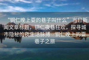 “銅仁晚上耍的巷子叫什么”當日新聞文章標題，銅仁夜巷狂歡，探尋城市隱秘的夜生活脈搏—銅仁晚上的耍巷子之旅