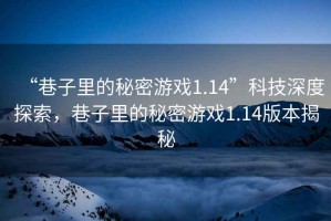 “巷子里的秘密游戲1.14”科技深度探索，巷子里的秘密游戲1.14版本揭秘