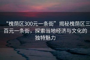 “槐蔭區(qū)300元一條街”揭秘槐蔭區(qū)三百元一條街，探索當?shù)亟?jīng)濟與文化的獨特魅力