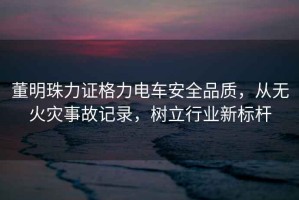 董明珠力證格力電車安全品質(zhì)，從無火災(zāi)事故記錄，樹立行業(yè)新標(biāo)桿