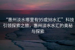 “惠州淡水哪里有95或98水匯”科技引領(lǐng)探索之旅，惠州淡水水匯的奧秘與探索
