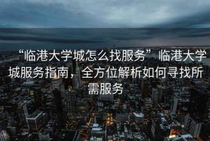 “臨港大學(xué)城怎么找服務(wù)”臨港大學(xué)城服務(wù)指南，全方位解析如何尋找所需服務(wù)