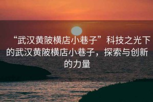 “武漢黃陂橫店小巷子”科技之光下的武漢黃陂橫店小巷子，探索與創(chuàng)新的力量