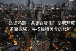 “岳塘雞窩一條街在哪里”岳塘雞窩一條街探秘，尋找獨特美食的旅程