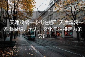 “天津雞窩一條街在哪”天津雞窩一條街探秘，歷史、文化與獨(dú)特魅力的交織