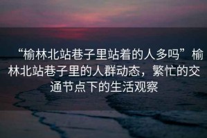 “榆林北站巷子里站著的人多嗎”榆林北站巷子里的人群動態(tài)，繁忙的交通節(jié)點下的生活觀察