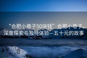 “合肥小巷子50塊錢”合肥小巷子，深度探索與獨特體驗—五十元的故事