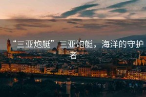 “三亞炮艇”三亞炮艇，海洋的守護(hù)者