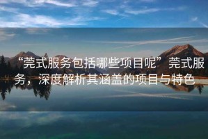 “莞式服務包括哪些項目呢”莞式服務，深度解析其涵蓋的項目與特色