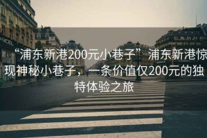 “浦東新港200元小巷子”浦東新港驚現(xiàn)神秘小巷子，一條價(jià)值僅200元的獨(dú)特體驗(yàn)之旅