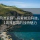 “51風(fēng)流官網(wǎng)”探索前沿科技，揭秘51風(fēng)流官網(wǎng)的獨特魅力