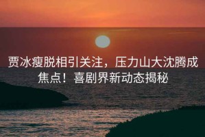 賈冰瘦脫相引關注，壓力山大沈騰成焦點！喜劇界新動態(tài)揭秘