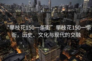 “攀枝花150一條街”攀枝花150一條街，歷史、文化與現(xiàn)代的交融