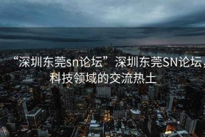 “深圳東莞sn論壇”深圳東莞SN論壇，科技領域的交流熱土