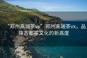 “鄭州高端茶vx”鄭州高端茶vx，品味古都茶文化的新高度