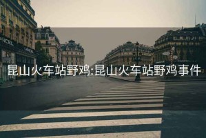 昆山火車站野雞:昆山火車站野雞事件