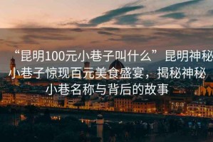 “昆明100元小巷子叫什么”昆明神秘小巷子驚現(xiàn)百元美食盛宴，揭秘神秘小巷名稱與背后的故事