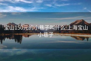 寶山150元的小巷子叫什么:上海寶山小巷子