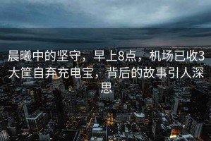 晨曦中的堅守，早上8點，機場已收3大筐自棄充電寶，背后的故事引人深思