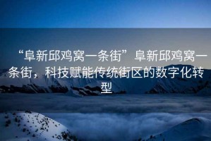“阜新邱雞窩一條街”阜新邱雞窩一條街，科技賦能傳統(tǒng)街區(qū)的數(shù)字化轉(zhuǎn)型