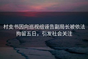 村支書因向巡視組誣告副局長被依法拘留五日，引發(fā)社會關(guān)注