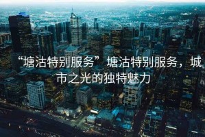 “塘沽特別服務(wù)”塘沽特別服務(wù)，城市之光的獨特魅力
