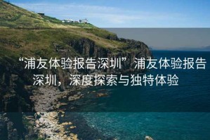 “浦友體驗報告深圳”浦友體驗報告深圳，深度探索與獨特體驗