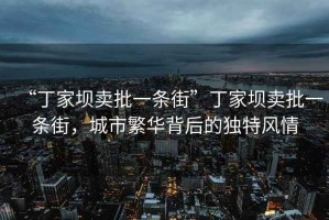 “丁家壩賣批一條街”丁家壩賣批一條街，城市繁華背后的獨特風情