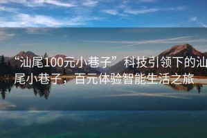 “汕尾100元小巷子”科技引領下的汕尾小巷子，百元體驗智能生活之旅