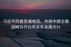 習近平同普京通電話，共商中俄全面戰(zhàn)略協(xié)作伙伴關(guān)系發(fā)展大計