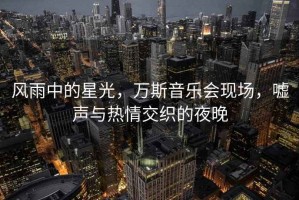 風(fēng)雨中的星光，萬斯音樂會現(xiàn)場，噓聲與熱情交織的夜晚