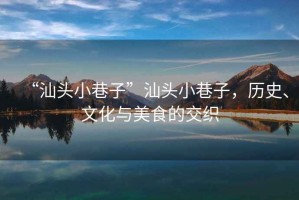 “汕頭小巷子”汕頭小巷子，歷史、文化與美食的交織