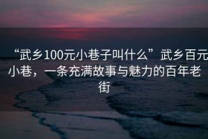 “武鄉(xiāng)100元小巷子叫什么”武鄉(xiāng)百元小巷，一條充滿故事與魅力的百年老街