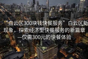 “白云區(qū)300塊錢快餐服務(wù)”白云區(qū)新現(xiàn)象，探索經(jīng)濟(jì)型快餐服務(wù)的新篇章—僅需300元的快餐體驗(yàn)