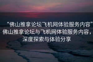 “佛山推拿論壇飛機(jī)網(wǎng)體驗(yàn)服務(wù)內(nèi)容”佛山推拿論壇與飛機(jī)網(wǎng)體驗(yàn)服務(wù)內(nèi)容，深度探索與體驗(yàn)分享